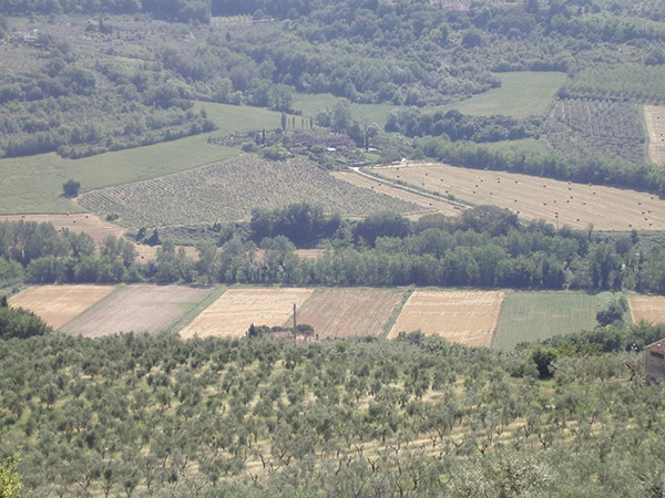 Figura 1: Veduta panoramica del sito sperimentale